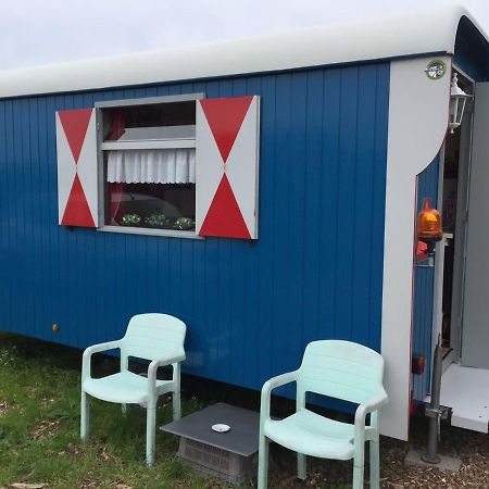 B&B Boerderij Rust, In Pipowagens! Ден-Хелдер Экстерьер фото