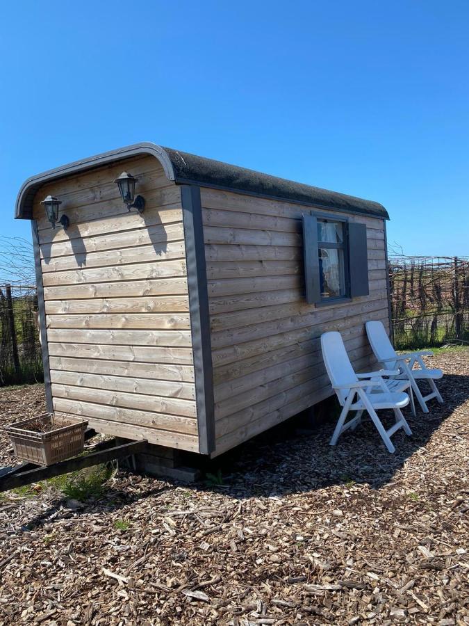 B&B Boerderij Rust, In Pipowagens! Ден-Хелдер Экстерьер фото